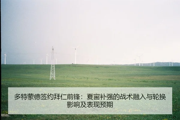 多特蒙德签约拜仁前锋：夏窗补强的战术融入与轮换影响及表现预期